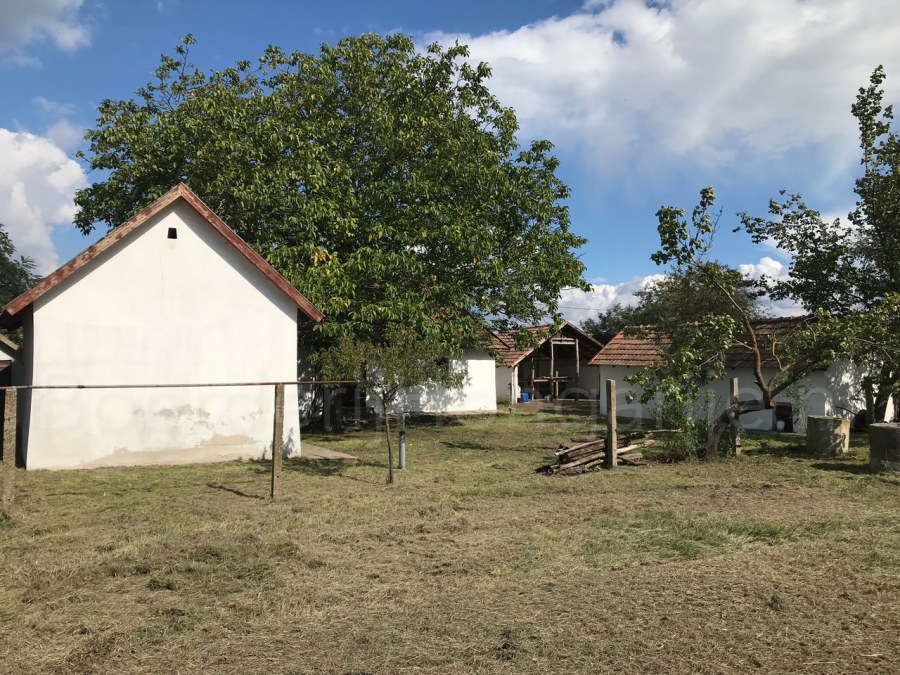 mooie boerderij huis te koop hongarije Pusztaszer id 1376 2023 03