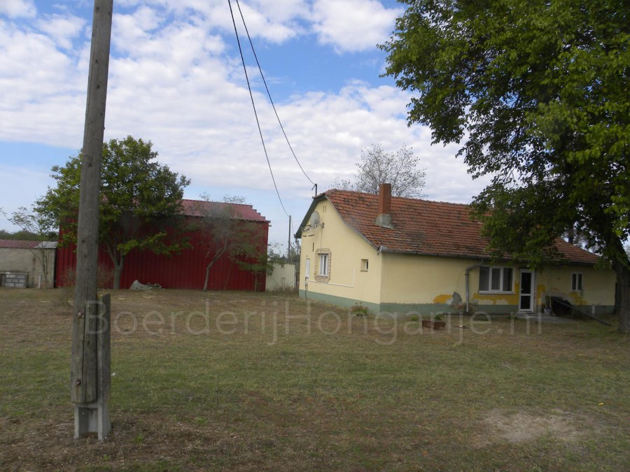 boerderij huis aangeboden hongarije szank id 1413 2023 08
