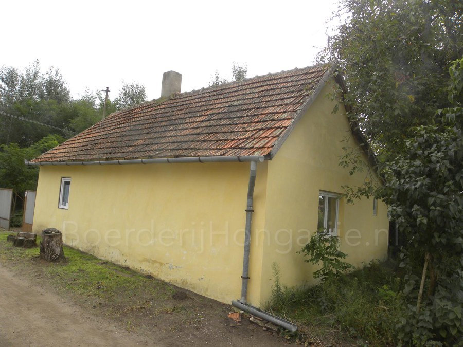 boerderij huis te koop zuid hongarije bacsszolos id 1411 2023 08
