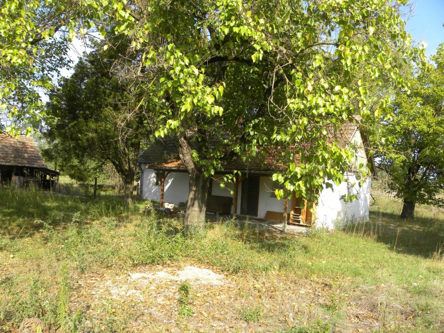 boerderij huis te koop zuid hongarije balastya id 1412 2023 11